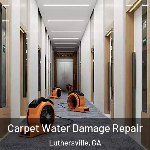  Carpet Water Damage Repair Luthersville, GA