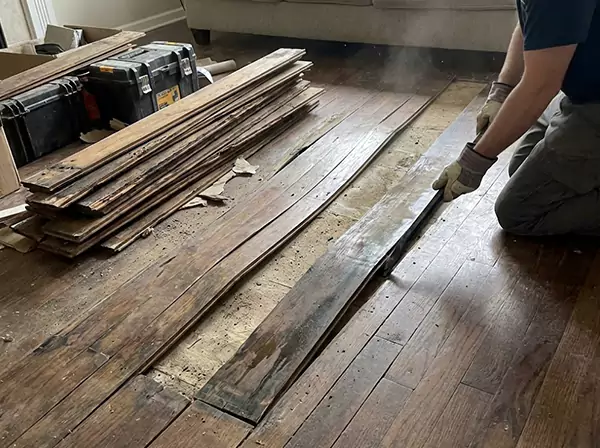 Water Damage Drying in Luthersville