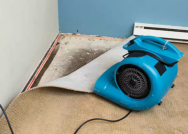 Your Water Damage Experts in Luthersville, GA