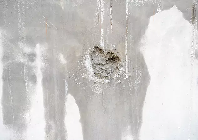 Your Mold Mitigation Solutions Partner in Luthersville, GA