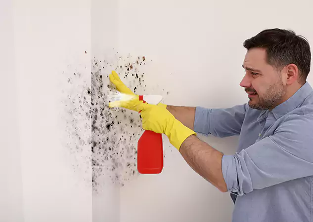 Your Water Mold Fire Restoration Partner in Luthersville, GA