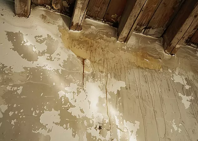 Your Trusted Restoration Company in Luthersville, GA