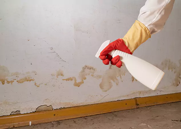 Your Water Restoration and Mold Remediation Specialists in Luthersville, GA