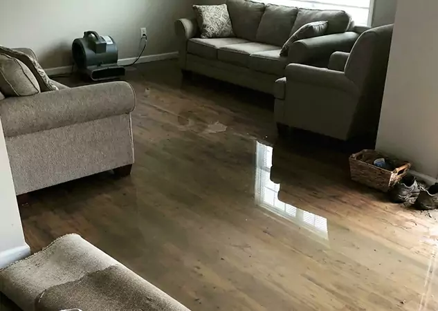 Your Trusted Restoration Company in Luthersville, GA