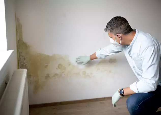 Reach Our Remediation Team Before Damage Grows in Luthersville, GA!