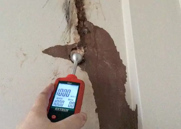 Your Water Damage Assessment Partner in Luthersville, GA
