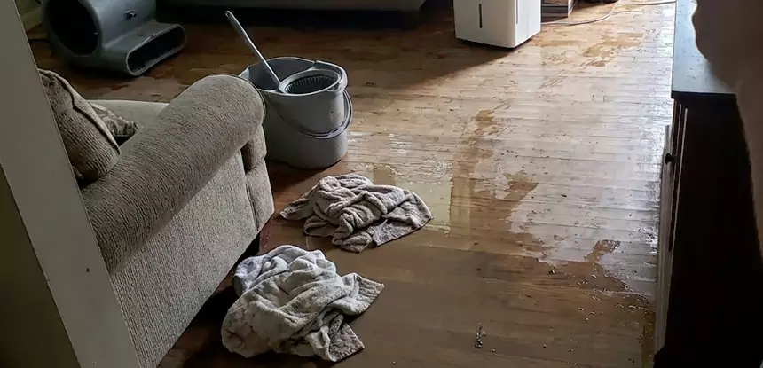 Professional Basement Water Remediation Services in Luthersville, GA