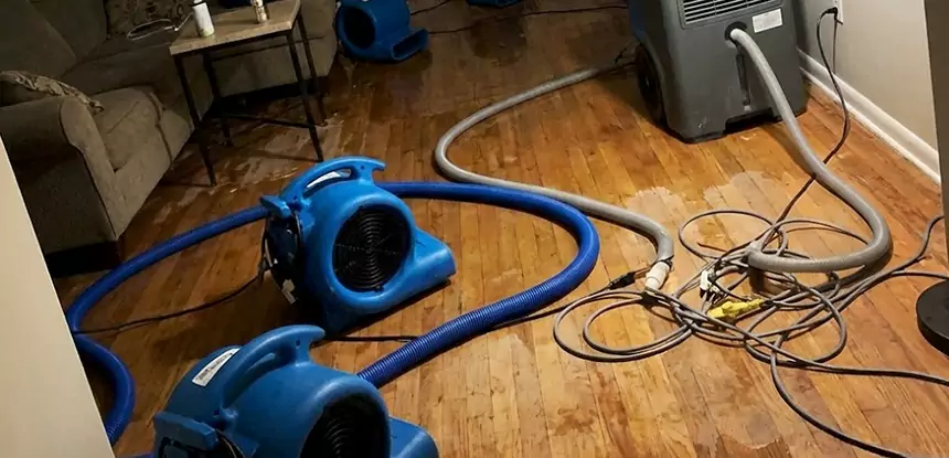Basement Flood Restoration Services in Luthersville