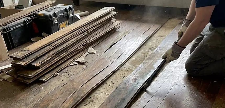 Wood Rot and Fungus Repair in Luthersville