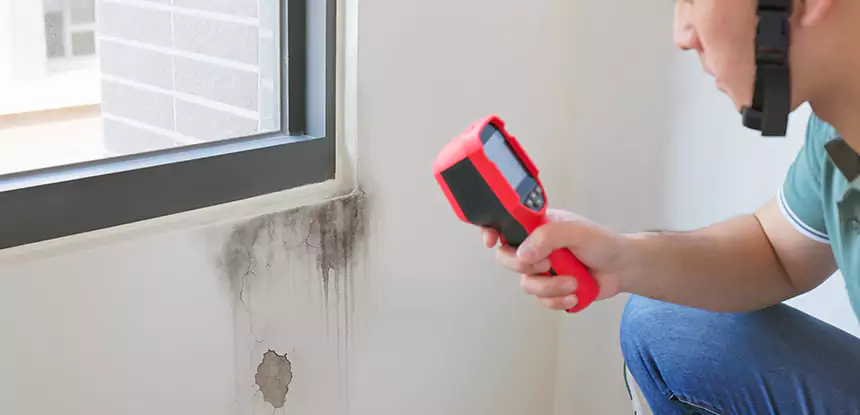 Wall Texture Repair After Mold in Luthersville