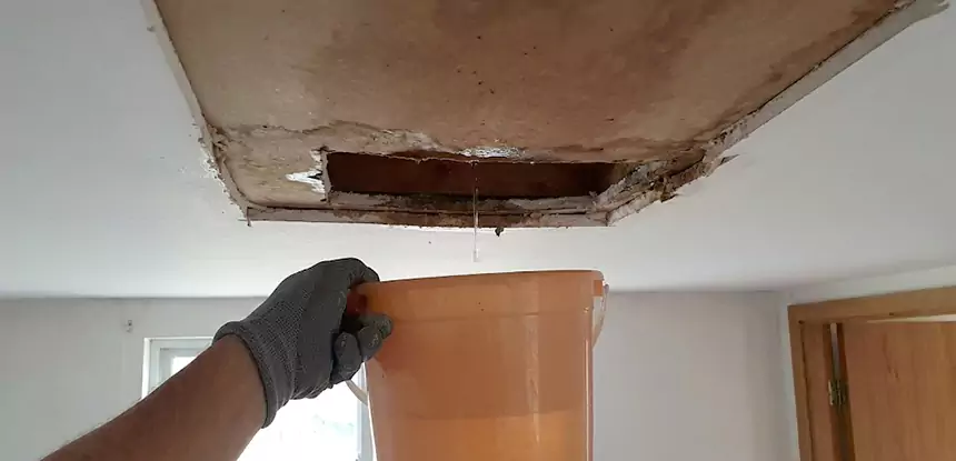 Ceiling Mold Repair Luthersville 