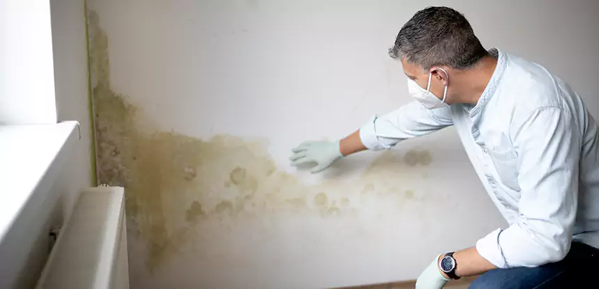 Mold and Water Damage Repair in Luthersville