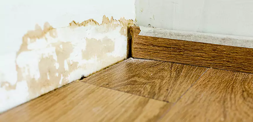 Professional Fix Water Damaged Wood Services in Luthersville, GA