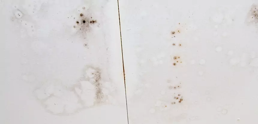 Professional Water Stain Repair Services in Luthersville, GA