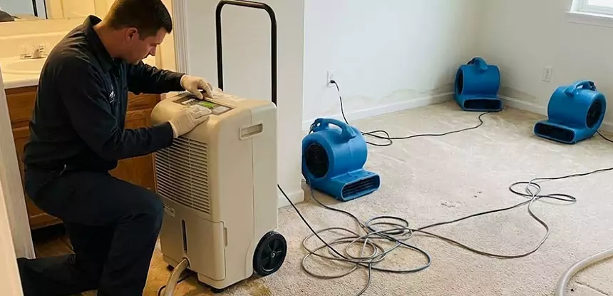 Professional Wet Carpet Removal Services in Luthersville, GA