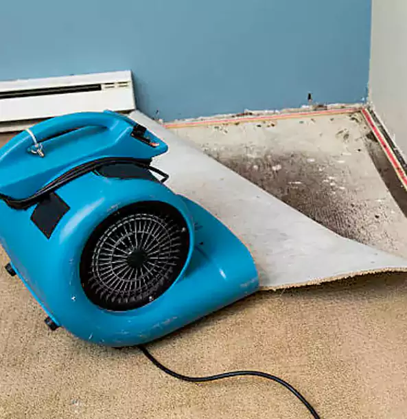 Why Luthersville Trusts Luthersville Restoration Pro for Carpet Flood Recovery?