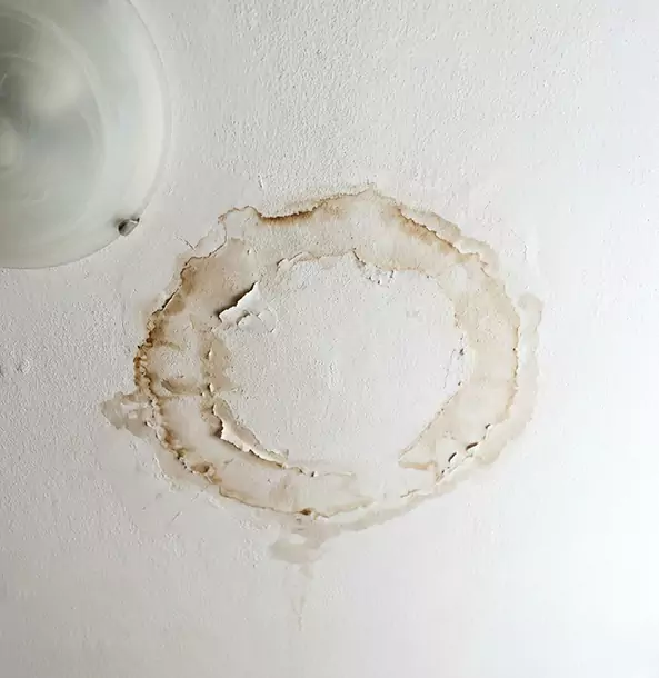 Why Luthersville Property Owners Choose Luthersville Restoration Pro for Ceiling Water Damage Restoration?
