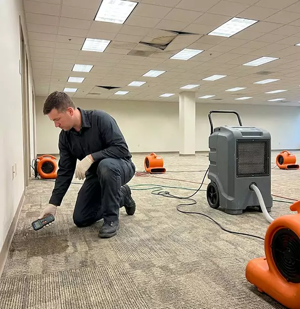 Why Luthersville Businesses Choose Luthersville Restoration Pro for Water Cleanup?