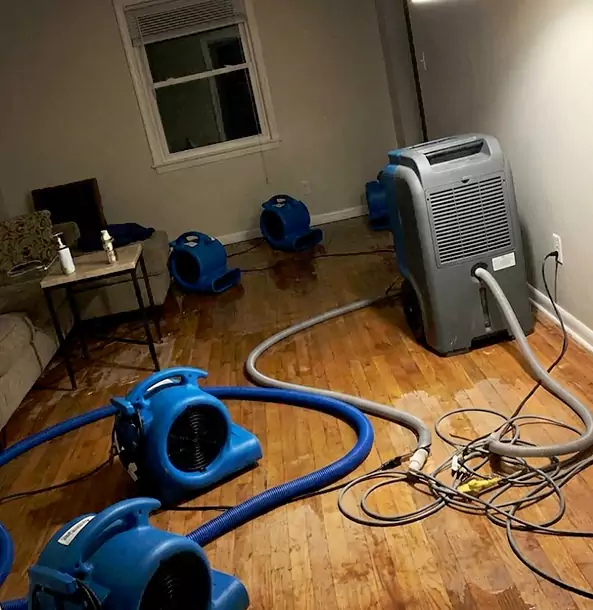 Why Luthersville Calls Luthersville Restoration Pro First for Emergency Restoration?