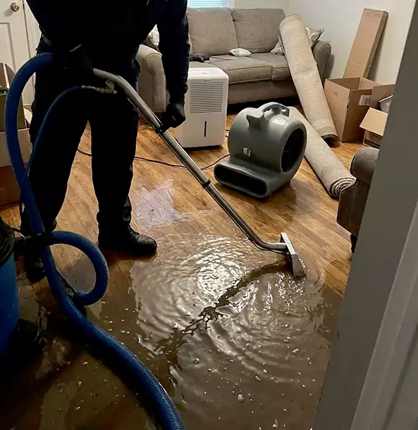 Why Luthersville Trusts Luthersville Restoration Pro for Flood Cleanup?