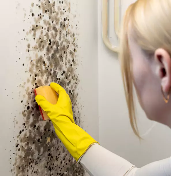 Why Luthersville Restoration Pro Leads Mold Remediation in Luthersville?