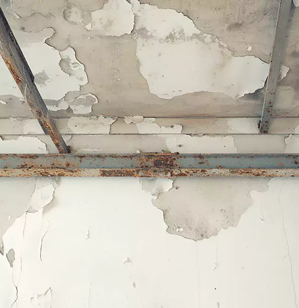 Why Luthersville Restoration Pro Is the Right Choice in Luthersville, GA?
