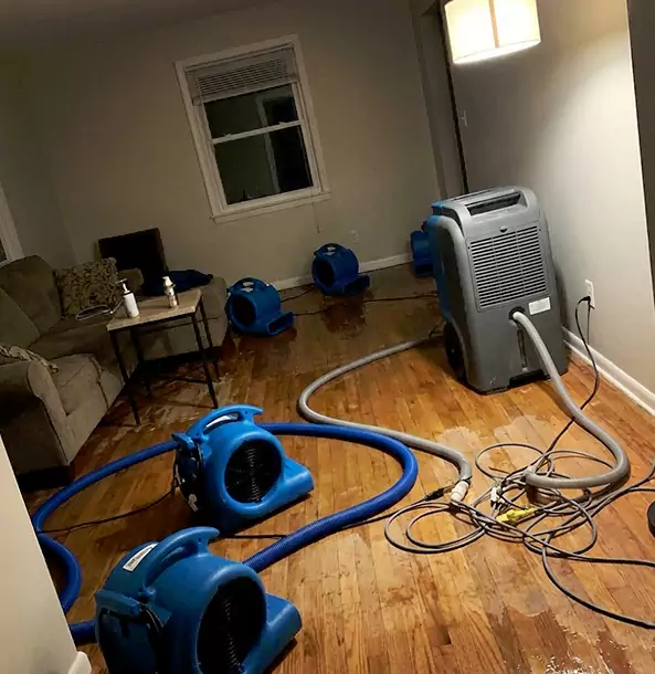 Why Luthersville Property Owners Rely on Luthersville Restoration Pro for Remediation?