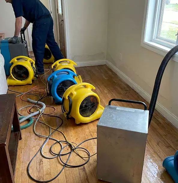 Why Luthersville Property Owners Choose Luthersville Restoration Pro for Remediation?