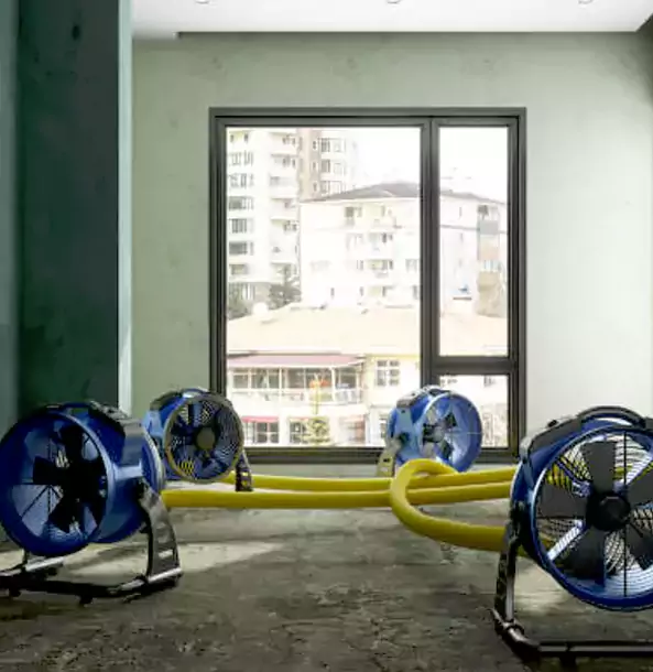 Why Luthersville Property Owners Trust Luthersville Restoration Pro for Water Damage Drying?