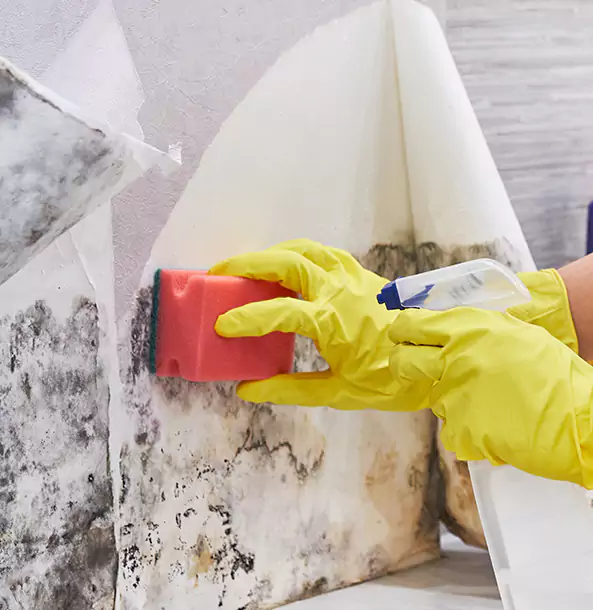 Why Luthersville Trusts Luthersville Restoration Pro for Mold and Water Restoration?