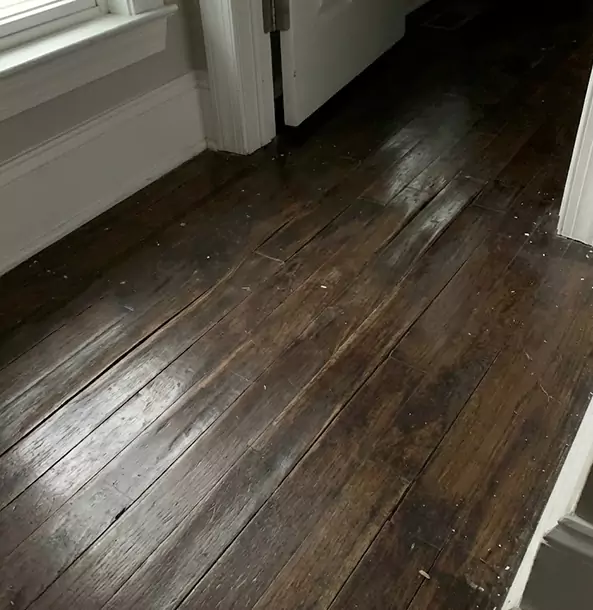Why Luthersville Homeowners Trust Luthersville Restoration Pro to Fix Water Damaged Wood?