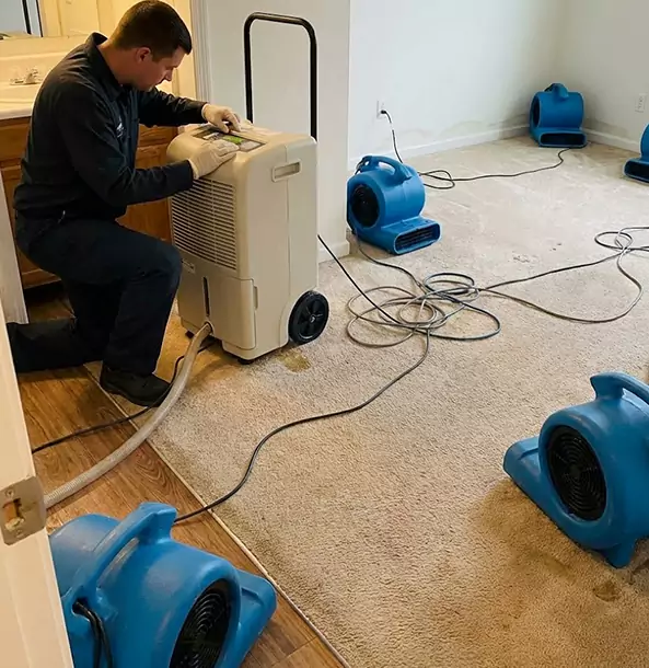 Why Luthersville Homeowners and Businesses Trust Luthersville Restoration Pro for Carpet Drying?