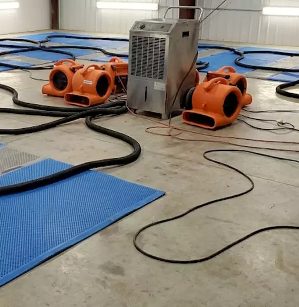 Why Luthersville Homeowners and Businesses Choose Luthersville Restoration Pro for Wet Carpet Removal?