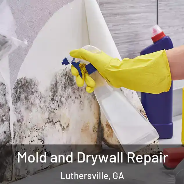  Mold and Drywall Repair Luthersville, GA