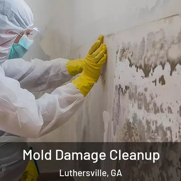  Mold Damage Cleanup Luthersville, GA