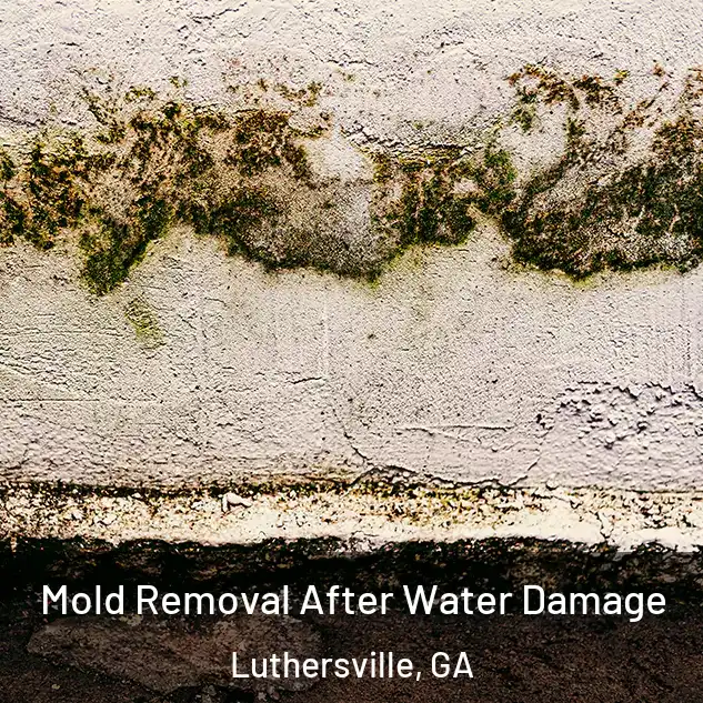  Mold Removal After Water Damage Luthersville, GA