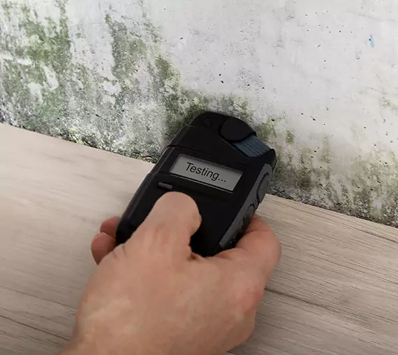 Mold Remediation Service Luthersville