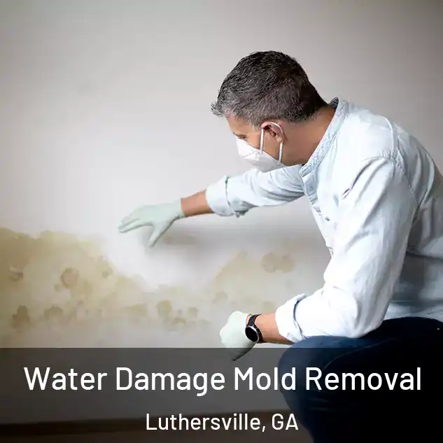  Water Damage Mold Removal Luthersville, GA