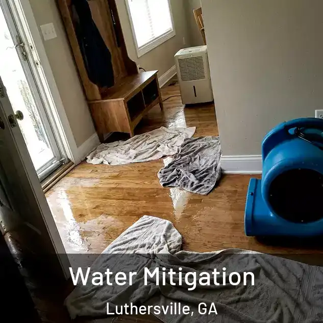 Water Mitigation Luthersville, GA